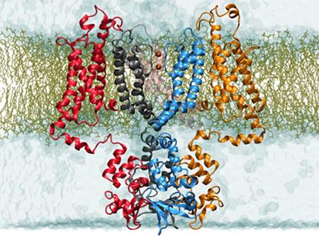 生物物理学家提出了膜蛋白结晶的新方法
