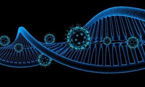 新的DNA病毒和逆转录病毒数据库首次亮相