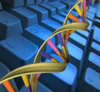 研究人员在DNA上存储计算机操作系统和短片