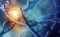 古代和历史豹DNA在聚光灯下