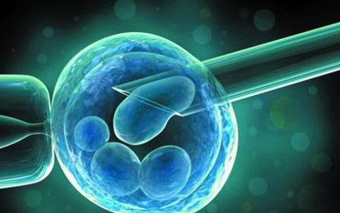 研究胚胎干细胞起源的新工具