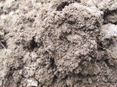 全球范围的土壤矿物在碳储存中的作用评估