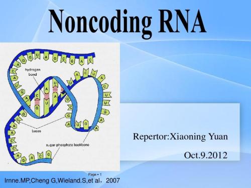 改进的基因表达图谱显示许多人长的非编码RNA实际上可能是功能性的