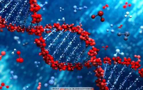 研究表明 大自然可以击退对整个物种基因的科学修补