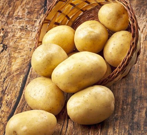 美国批准3种转基因马铃薯