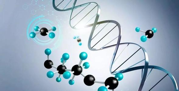 基因编辑专利裁决摇摆了生物技术希望的财富