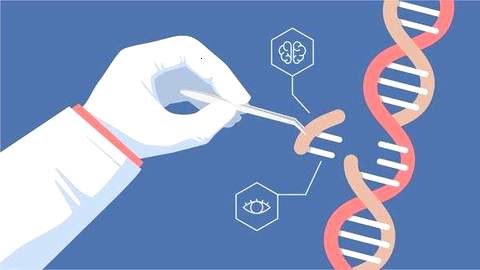 没有设计师婴儿 但基因编辑 以避免疾病 