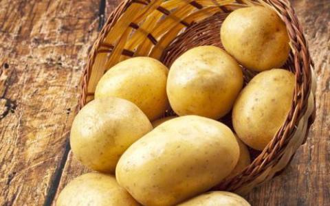 美国批准3种转基因马铃薯