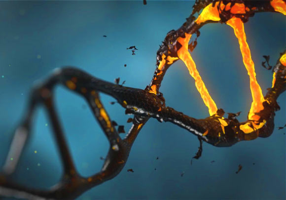 CRISPR-Cas9åºåç¼è¾å¯å¯¼è´æ°ç¾ä¸ªéé¢æççªåã å¾çæ¥æºï¼Lisichikã