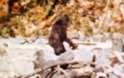 DNA研究称Yeti样本与亚洲熊的遗传基因相同