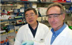 喜欢盐的微生物为下一代生物燃料的生产提供新的酶