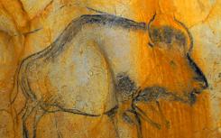 冰河时代洞穴艺术隐藏的野牛和牛的神秘混合