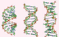 新方法确定您的DNA是来自母亲还是父亲