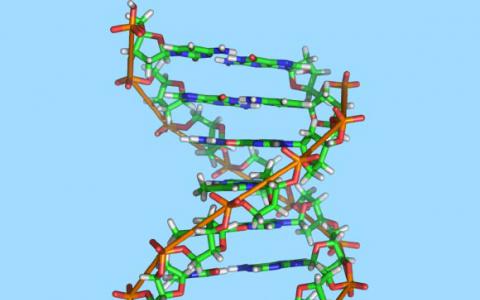 研究人员发现隐藏在DNA中的第二个代码