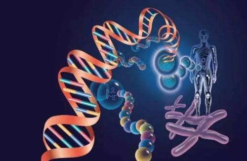 基因组提供食道癌差异的线索