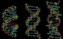 神秘的百分之98  科学家希望在黑暗的基因组上发光