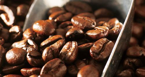 阿拉比卡咖啡基因组测序