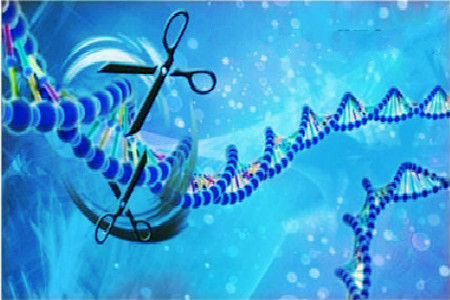 我们的DNA中隐藏的代码解释了如何制造新的基因片段