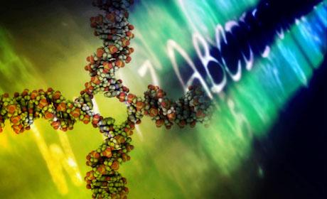 研究表征DNA修复酶的关键分子工具