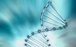 新的基因工程技术可以帮助设计 研究生物系统