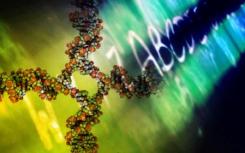 研究表征DNA修复酶的关键分子工具