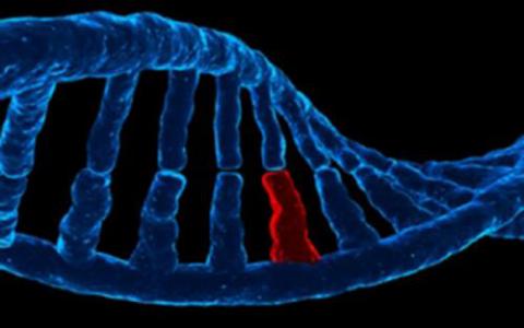 科学家开发出可视化基因突变的方法