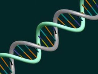 一项新发现加深了我们对不同组织中出现的基因突变的理解