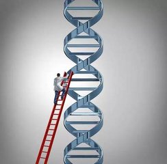 发现蛋白质启动DNA修复