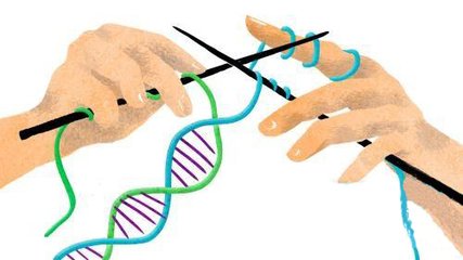 使用酶来控制CRISPR / Cas系统 该酶也控制遗传信息转化为蛋白质