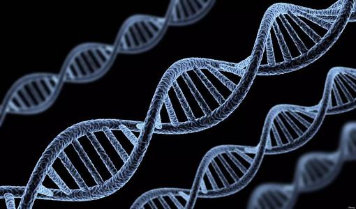 科学家使用molecular-Lego将CRISPR基因编辑工具提升到了一个新的水平