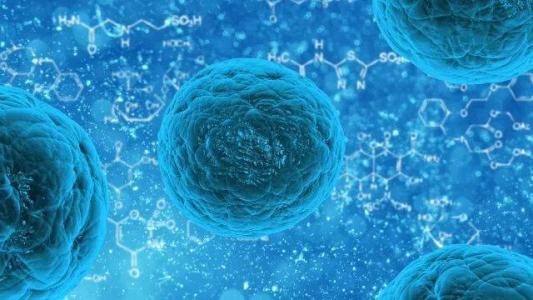 细胞命运的设计师转换可以简化干细胞生物学