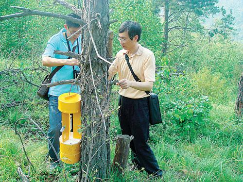 通过Malaise诱捕样本和DNA条形码监测昆虫生物多样性的效率