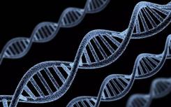 科学家使用molecular-Lego将CRISPR基因编辑工具提升到了一个新的水平
