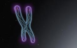 染色体内的保护屏障有助于保持细胞健康
