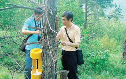 通过Malaise诱捕样本和DNA条形码监测昆虫生物多样性的效率