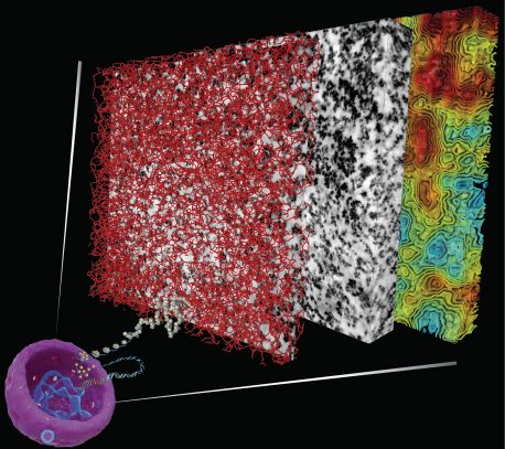 科学家们解开了DNA组织长期以来的生物学之谜