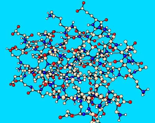 科学家们发现了蛋白质如何触摸