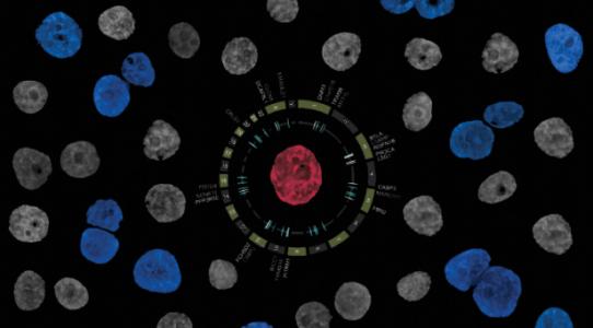 根据单细胞分子研究进行生物学教育