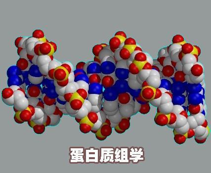 量子跃进基于质谱的蛋白质组学的可靠性