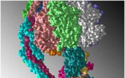 研究发现DNA修复必需的酶