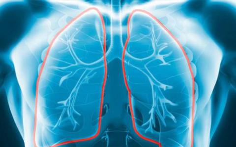 研究肯定了为移植分配肺部的地理歧视