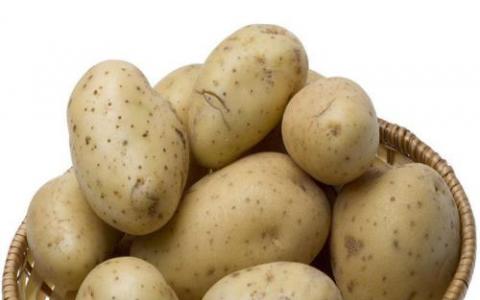 美国批准两种转基因马铃薯