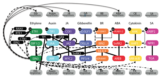 科学家发现了数千种由乙烯气体激活的植物基因