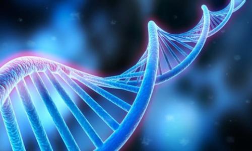 研究DNA 推进纳米孔感知 降低成本 提高DNA测序准确度