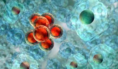 研究指出了提高干细胞治疗潜力的方法