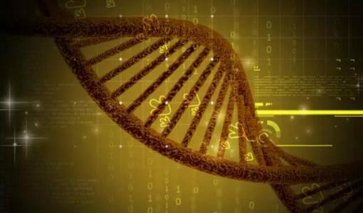 DNA绘图工具可帮助科学家更好地了解基因的调控方式