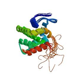 研究揭示了人凋亡体的蛋白质结构
