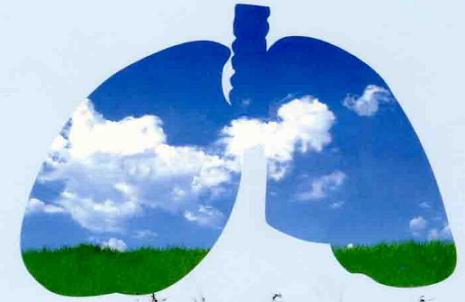 活化的PMN外泌体是致病实体其在COPD肺中引起破坏