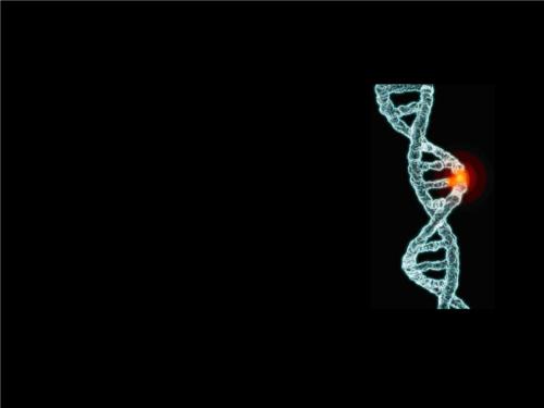 新的开关决定基因组修复和细胞死亡
