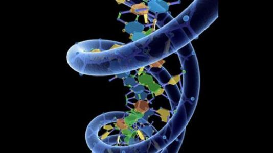 基因组的守护者保护DNA以增加种子寿命
